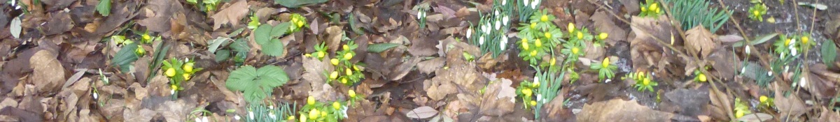 Spring 2013